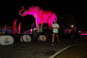 BIB: 
                            <button type="button" onclick="openModal(26534791)" class="btn btn-primary btn-sm float-right btn-popup" data-toggle="modal" data-target=".modal-high-quality">
                        <i class="fas fa-shopping-cart"></i> Add to Cart
                    </button>
                                            <button type="button" onclick="isThisMe(26534791, true)" class="btn btn-success btn-sm float-right btn-popup btn-isme hidden" data-toggle="tooltip" data-placement="bottom" title="นี่คือรูปของคุณใช่ไหม คลิกที่นี่เพื่อเอาเข้าอัลบั้ม">
                        <i class="fas fa-plus"></i> Add to album
                    </button>
                    <button type="button" onclick="isThisMe(26534791, false)" class="btn btn-warning btn-sm float-right btn-popup btn-isnotme hidden">
                        <i class="fas fa-ban"></i> Remove from album
                    </button>